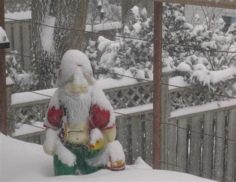 Snow Gnome The Neighbours Creepy Gnome Covered In Snow