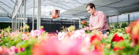 Although opening a store may not make sense for every florist, it was the right move for mcmanus. How to Start a Floral Business: Tips on Seed Money, More ...