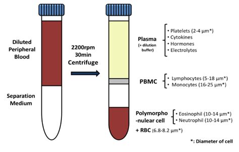 Isolation of pbmc by density gradient centrifugation; Ward Medic - Posts | Facebook