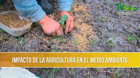 Impacto De La Agricultura En El Medio Ambiente TvAgro Por Juan Gonzalo