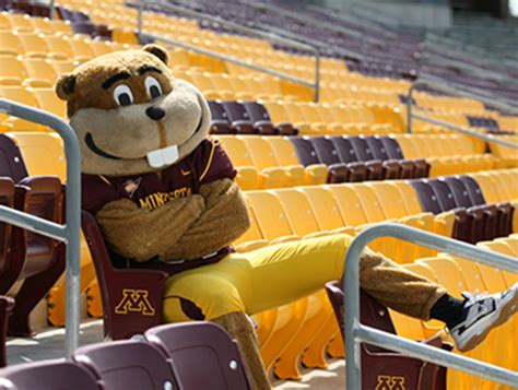 Goldy Gopher U Of Minn Mascot Punched By Professor Who Gets Cited