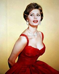 Sophia Loren Legendary Actress Sex Symbol X Publicity Photo Fb The