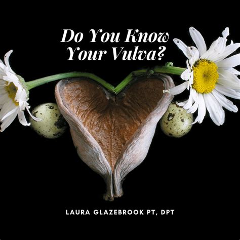 Do You Know Your Vulva One On One Physical Therapy