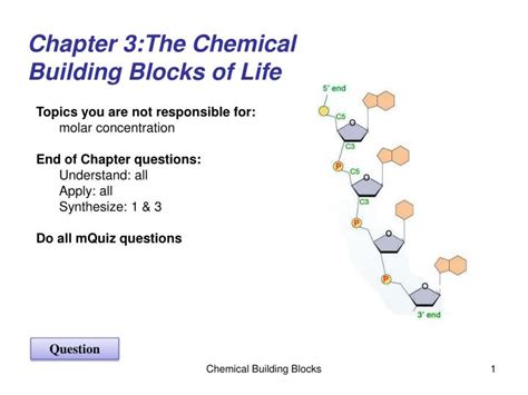 Ppt Chapter 3the Chemical Building Blocks Of Life Powerpoint