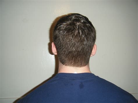 Back View Of Short Haircut For Men Haircuts Pinterest Short