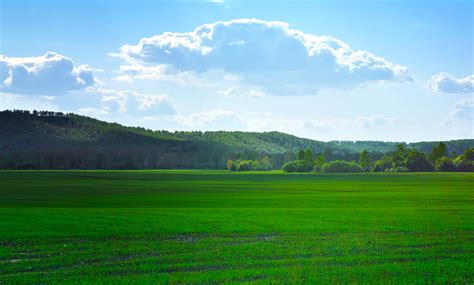 Green Fields Free Stock Photo Public Domain Pictures