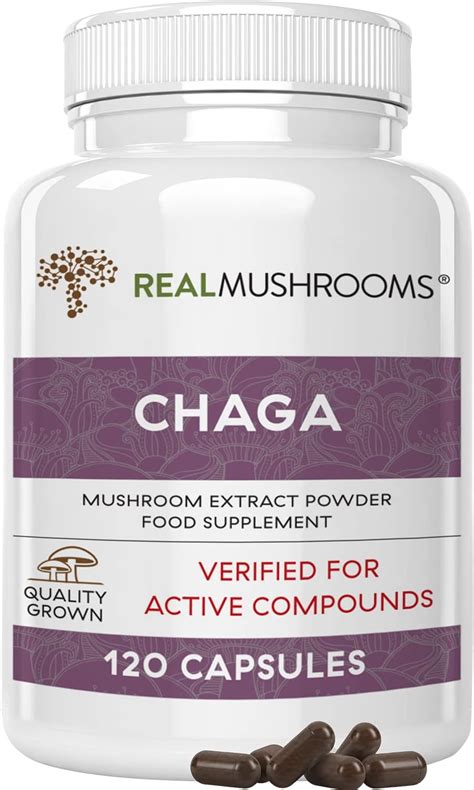 Real Mushrooms Chaga Extract 120ct Immune And Digestive Support
