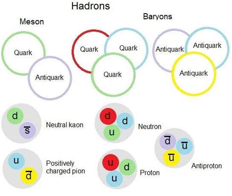 Diagram Showing Hadrons Are Split Into Mesons Made Of A Quark And An