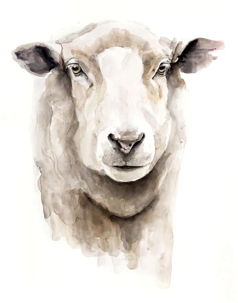 Sheep Painting Sheep Art Watercolor Sheep Watercolour Sheep Farm
