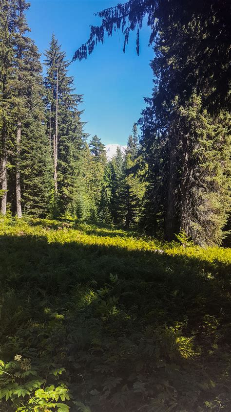 This was probably one of the first places as a photographer that i needed to hit, it's almost cheating how easy it is to get a beautiful. Trillium Lake Basin Cabins Cross-Country Ski and Snowshoe ...