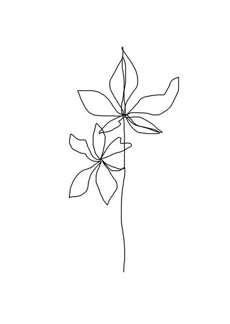 Illustration Flower Drawing Minimalist Drawing Line Flower