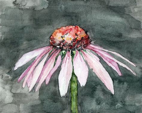 Coneflower Painting Print From Original Watercolor Painting One