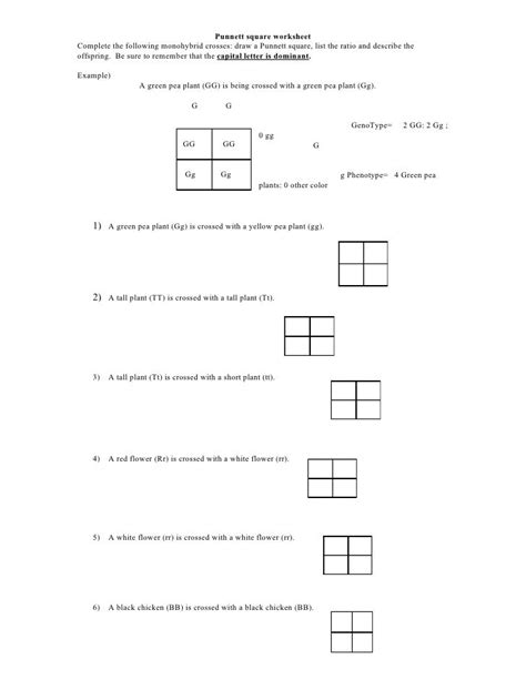 punnett squares x linked worksheets answer key