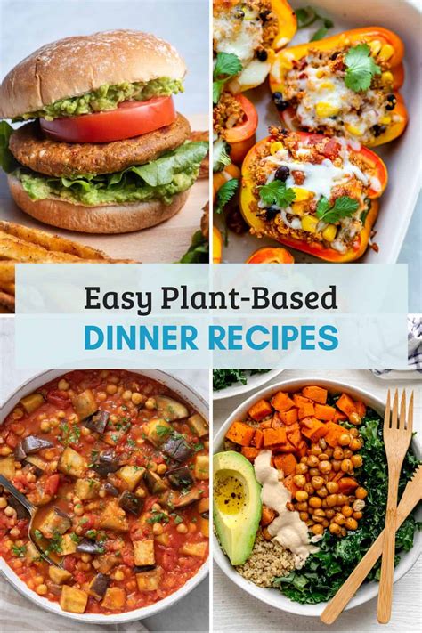 Healthy Plant Based Dishes