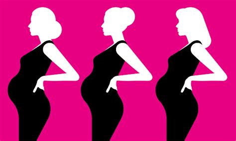 Silhouette Of A Pregnant Woman A Set Of Different Pregnant Girls With A