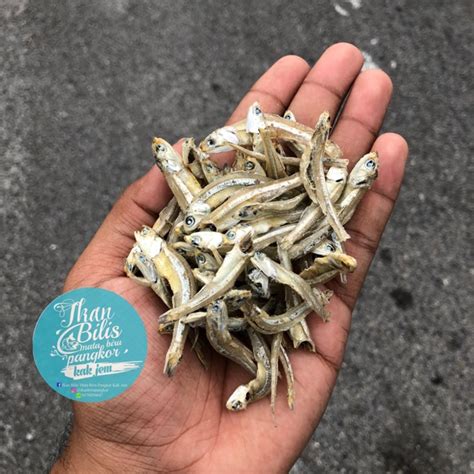 Ikan bilis mata biru yang berkualiti tinggi dan diimport dari sabah. Ikan Bilis Mata Biru Pangkor Kak Jem - TAK KOPEK [ READY ...