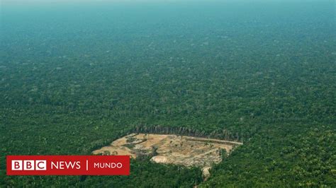 Jair Bolsonaro Los Nuevos Peligros Que Enfrenta La Amazonía Con El