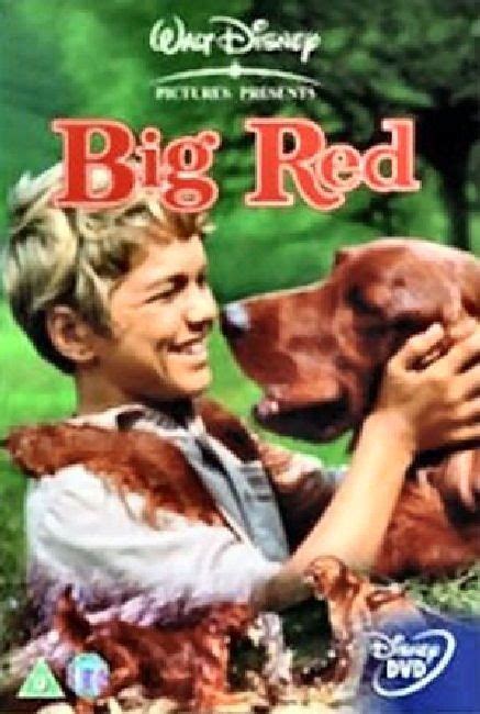 Идеи подарков от disney на яндекс маркете! 1962 Big Red | Classic disney movies, Dog movies, Every ...