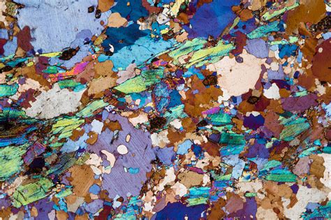 Gneiss Thin Section 301 Bild Kaufen 13600553 Science Photo Library