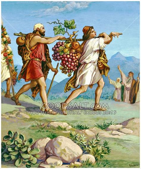 Spies Report Of Canaan Bible Illustrations Biblical Art Bible Art