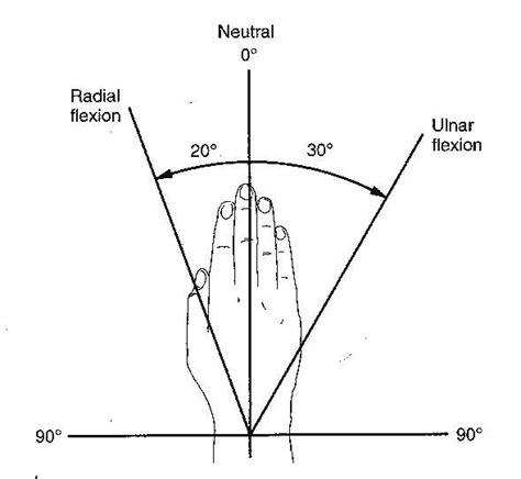 Physical Exam Of The Hand Hand Orthobullets Physics Exam Online