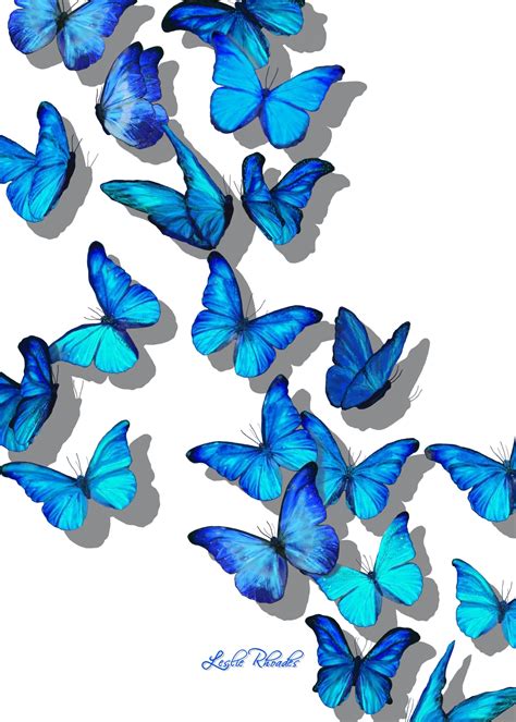 Hd wallpapers and desktop backgrounds. 🖤 Blue Butterfly Aesthetic Pictures - 2021