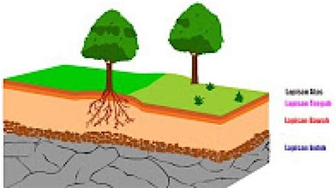 Pengertian Tanah Beserta Proses Pembentukan Jenis Dan Strukturnya