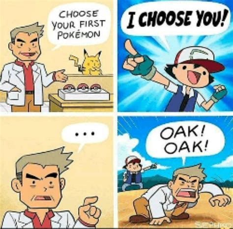 Memes De Pokémon Pokemon Memes Pokemon Pokemon Funny