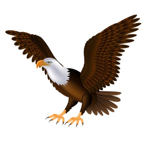 Check spelling or type a new query. Eagle PNG Transparent Images | PNG All