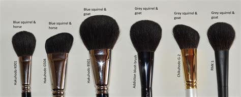 squirrel makeup brushes review mugeek vidalondon
