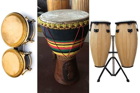 Bongo Conga And Djembe Faq All You Need To Know Sound Adventurer