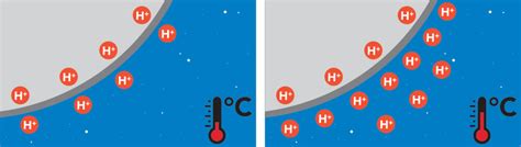 Does Temperature Affect Ph Atlas Scientific