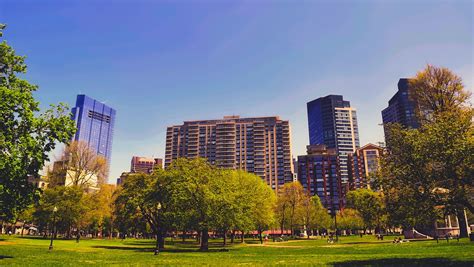 Health Benefits Of Urban Vegetation And Green Space Research Roundup
