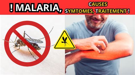 Malaria Ou Paludisme Causesymptomestraitement Youtube