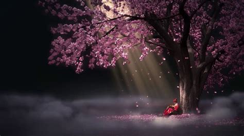 Sakura Desktop Hd Wallpapers Wallpaper Cave