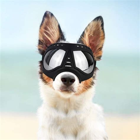 Petleso Dog Goggles Large Breed Dog Sunglasses Large Breed Uv