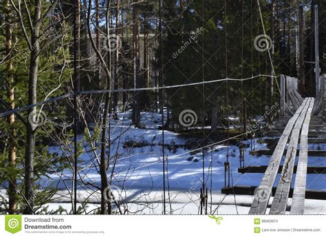 Old Cracked Wood Suspension Bridge For Pedestrian Over A Partly Stock