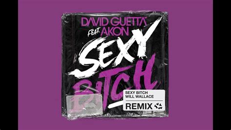 David Guetta Ft Akon Sexy Chick Will Wallace Remix Youtube