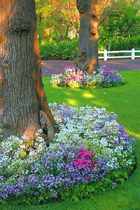Wonderful Flower Beds Around Trees Landscaping Around Trees Planting