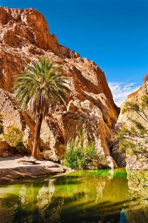 Chebika Oasis Sahara Desert Tunisia Tunisia Incredible Places