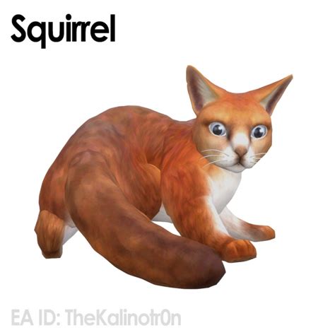 Sims 4 Squirrel Downloads Sims 4 Updates