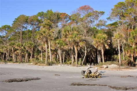 Soul Investing Hunting Island State Park Sc