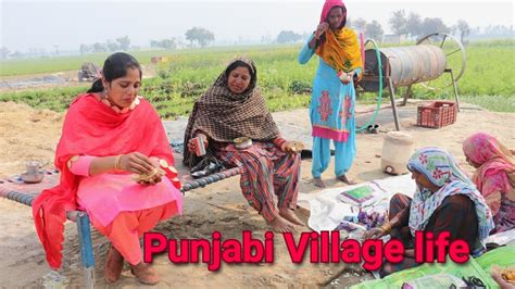 ਖੇਤ ਰੋਟੀ ਗੱਲਾਂ ਬਾਤਾਂ punjab village life🥰 indian rural of punjab pind life youtube
