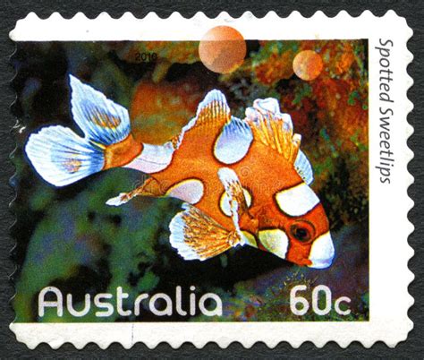 Spotted Sweetlips Australian Postage Stamp Editorial Image Image Of