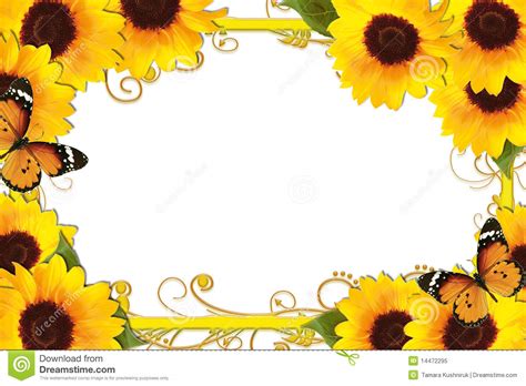 Sunflower Border Stock Illustration Illustration Of