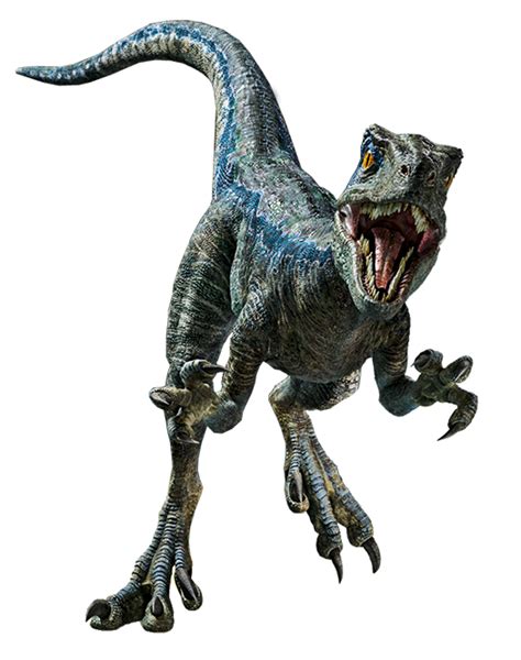 Jurassic World Velociraptor Blue Render 9 By Tsilvadino On Deviantart