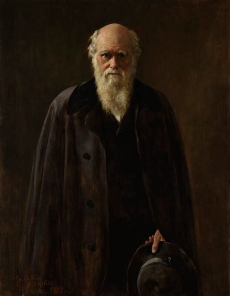 Npg 1024 Charles Darwin Portrait National Portrait Gallery