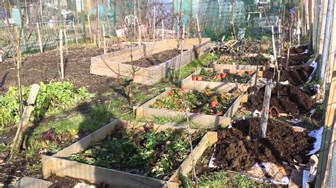 Best manure for fruit trees. Manure for fruit trees - YouTube