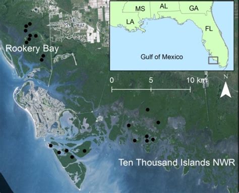 Map Of Ten Thousand Islands Florida Us Geological Survey