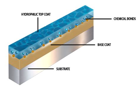 Could Biocoats Hydrophilic Coating Promote Vascular Catheter